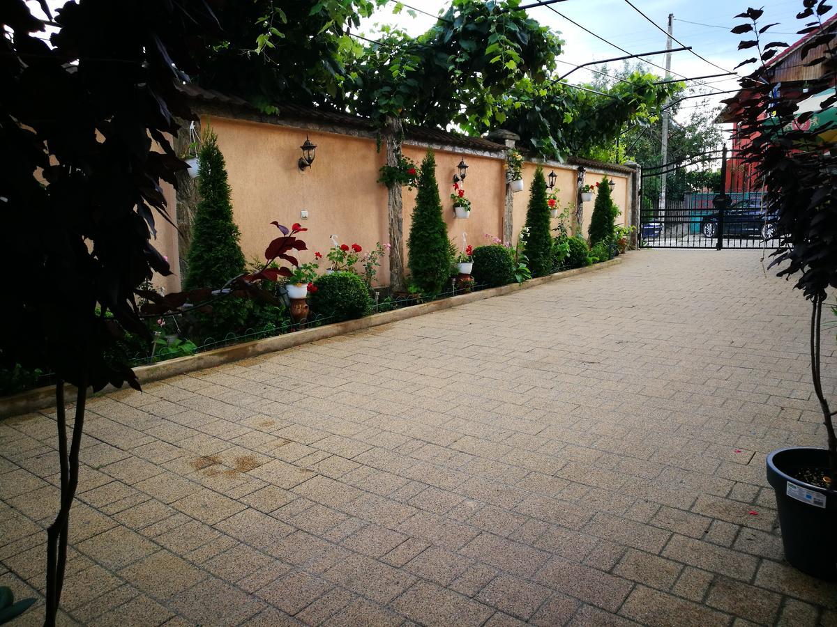 Pensiunea Remus Hotel Novaci-Straini Exterior photo