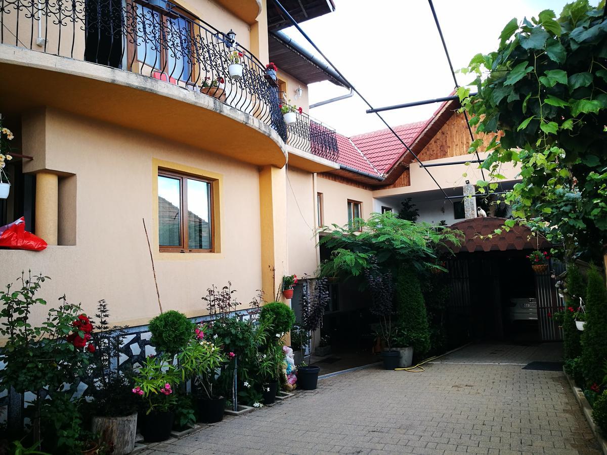 Pensiunea Remus Hotel Novaci-Straini Exterior photo