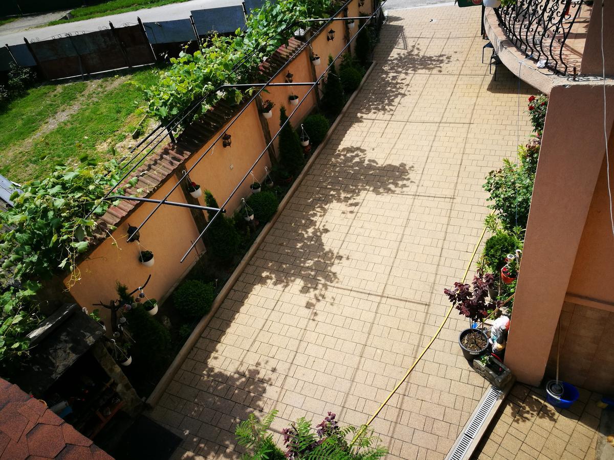 Pensiunea Remus Hotel Novaci-Straini Exterior photo